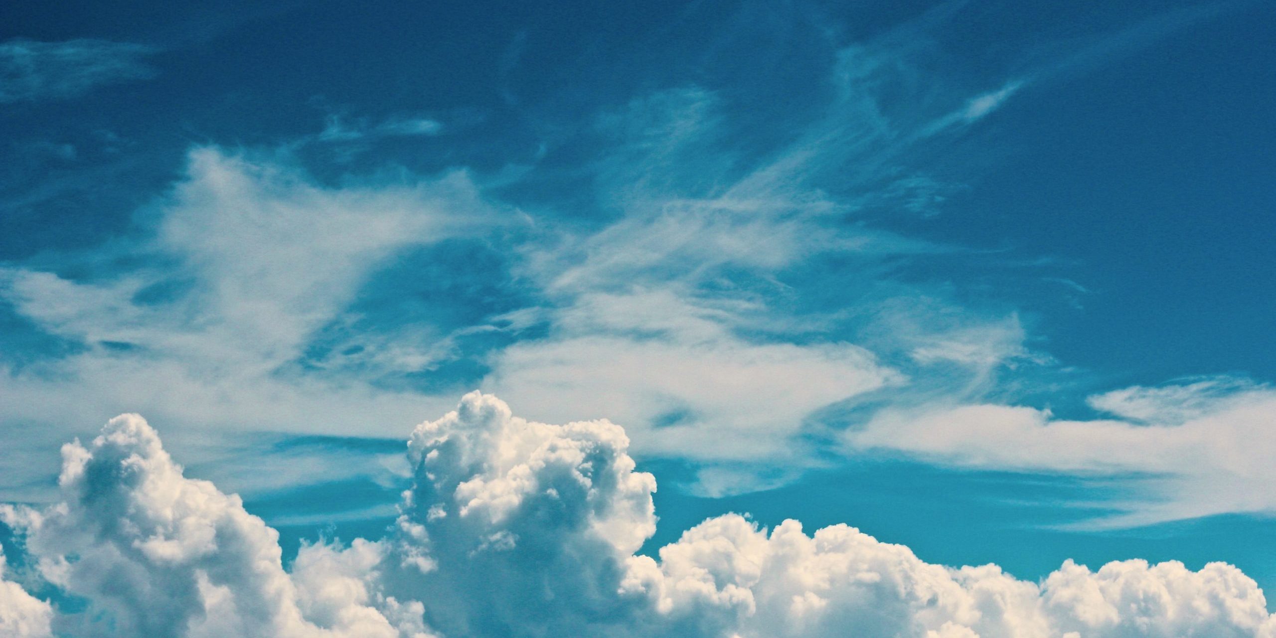 jelleke-vanooteghem-gnxb59lGU1M-unsplash